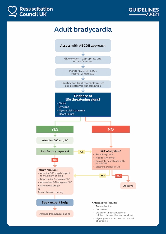 Adult Advanced Life Support Guideline